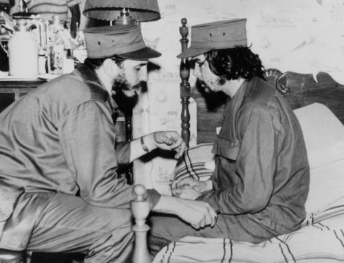 http://portalcantu.com.br/images/2016/11/fidel%20e%20tce.jpg