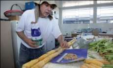 UEPG desenvolve variedade de milho verde superdoce