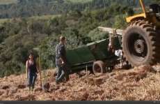 Guaraniaçu - Agricultor guaraniaçuense é destaque na mídia nacional