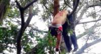 Jovem morre em capotamento e corpo fica pendurado em árvore no Paraguai