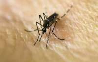 Brasil já registra 161,2 mil casos de suspeita de zika