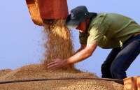 Paraná volta ao topo da produtividade em milho e soja