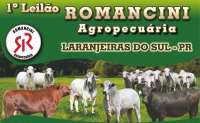 Laranjeiras - Dia 21 de agosto acontece o 1º Leilão Romancini Agropecuária