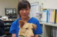 O suicídio da veterinária que sacrificou centenas de cães de rua