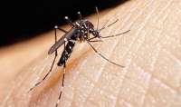 Governo libera R$234 milhões para pesquisas sobre Zika e apoio à ciência