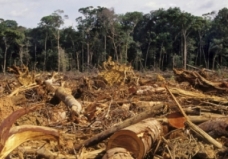 Código Florestal Brasileiro: Existe como conciliar a preservação dos ecossistemas e o agronegócio?
