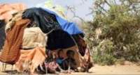 Sem ajuda, mais de 58 mil crianças podem morrer de fome na Somália