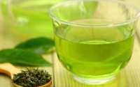 Segundo estudo, chá verde inibe vírus da zika