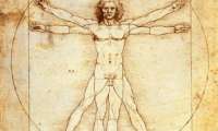 Estudos derrubam mitos sobre corpo humano. Confira!