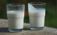 Intolerância à lactose atinge 3,5 milhões de pessoas no PR