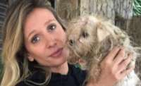 Polícia resgata 135 cães vítimas de maus-tratos em canil