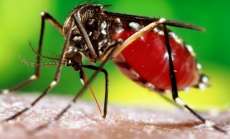 Rio Bonito - Município realiza arrastão contra dengue