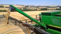 Paraná colhe 38 milhões de toneladas de grãos, a maior safra da história