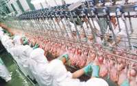 Exportações de frango e de carne suína crescem de janeiro a outubro
