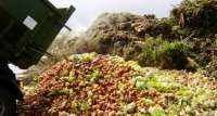 Projeto quer reduzir desperdício de alimentos no Brasil