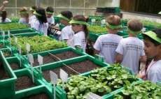 Educação ambiental será incluída no currículo das escolas do Paraná em 2014