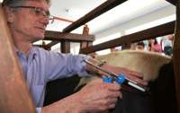 Paraná dá início à segunda etapa de vacinação contra a febre aftosa