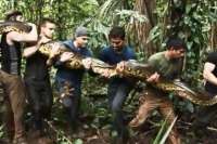 Discovery mostrará homem sendo engolido vivo por cobra gigante