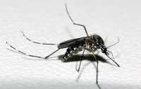 Paraná atinge marca de 50 mil casos de dengue