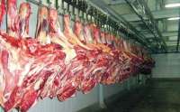 África do Sul e China suspendem importação de carne bovina do Brasil