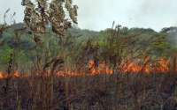 Setembro tem maior número de incêndios dos últimos 12 anos no Paraná