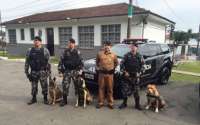 Cães da Polícia Militar do Paraná atuarão na segurança das Olimpíadas 2016