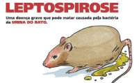 Guaraniaçu - Leptospirose: Secretaria de Saúde alerta município sobre doença