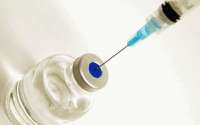 Vacina inédita para esquistossomose inicia nova fase de estudos