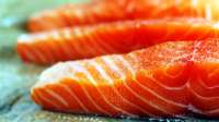 Conheça mitos e verdades sobre a qualidade do salmão de cativeiro
