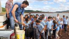 Rio Bonito - Unioeste e Tractebel Energia soltam 11 mil alevinos nos Lagos do Iguaçu