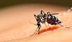 Paraná tem 4,2 mil casos confirmados de dengue
