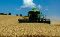 Paraná vai colher 40 milhões de toneladas de grãos