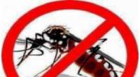 Nova Laranjeiras - Mutirão contra dengue, zika vírus e chikungunya
