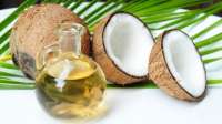 Especialistas recomendam cautelo no uso de óleo de coco