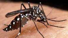 Laranjeiras - Semusa institui comitê gestor de enfrentamento a Dengue