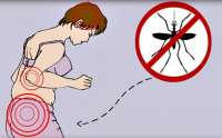 Não estou grávida, o que pode acontecer se eu pegar zika vírus? Entenda riscos