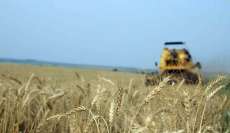 Safra de grãos no Estado 2013 será 23% maior que a anterior