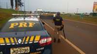 Caminhoneiros ampliam pontos de bloqueio nas estradas do Paraná