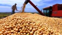 Safra de grãos será de 210,5 milhões de toneladas, aponta Conab