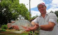 Laranjeiras - Secretaria de Agricultura cadastra produtores para feira do peixe vivo
