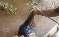 Homem cai em rio e tem a cabeça devorada por piranhas; Cuidado, imagens fortes