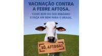 Goioxim - Secretaria de agricultura iniciou a campanha de vacinação contra febre aftosa