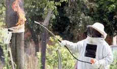 Laranjeiras - Secretaria de Agricultura vai treinar agente para combater ataques de abelhas