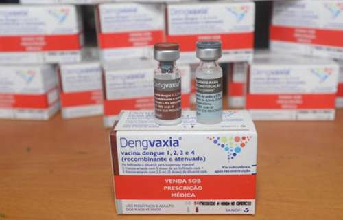 Paraná se prepara para iniciar a segunda dose da vacina da dengue