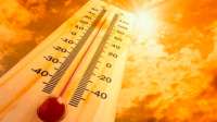 Confira 12 truques para driblar o calor sem usar ar condicionado