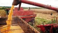 Safra de grãos este ano deverá ser 0,6% maior que a de 2015