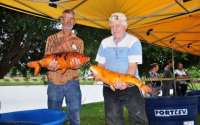 Laranjeiras - Secretaria de Agricultura e Peixelar realizam neste sábado, mais uma edição da Feira do Peixe Vivo