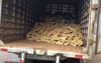 Polícia Federal realiza incineração de seis toneladas de maconha