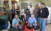 Catanduvas - 6 mil litros de vinho já foram envasados para a 9ª Festa do Vinho