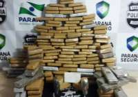 Polícia apreende 239 quilos de drogas na rodovia BR-277, em Guarapuava